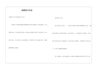 幼师实习日志