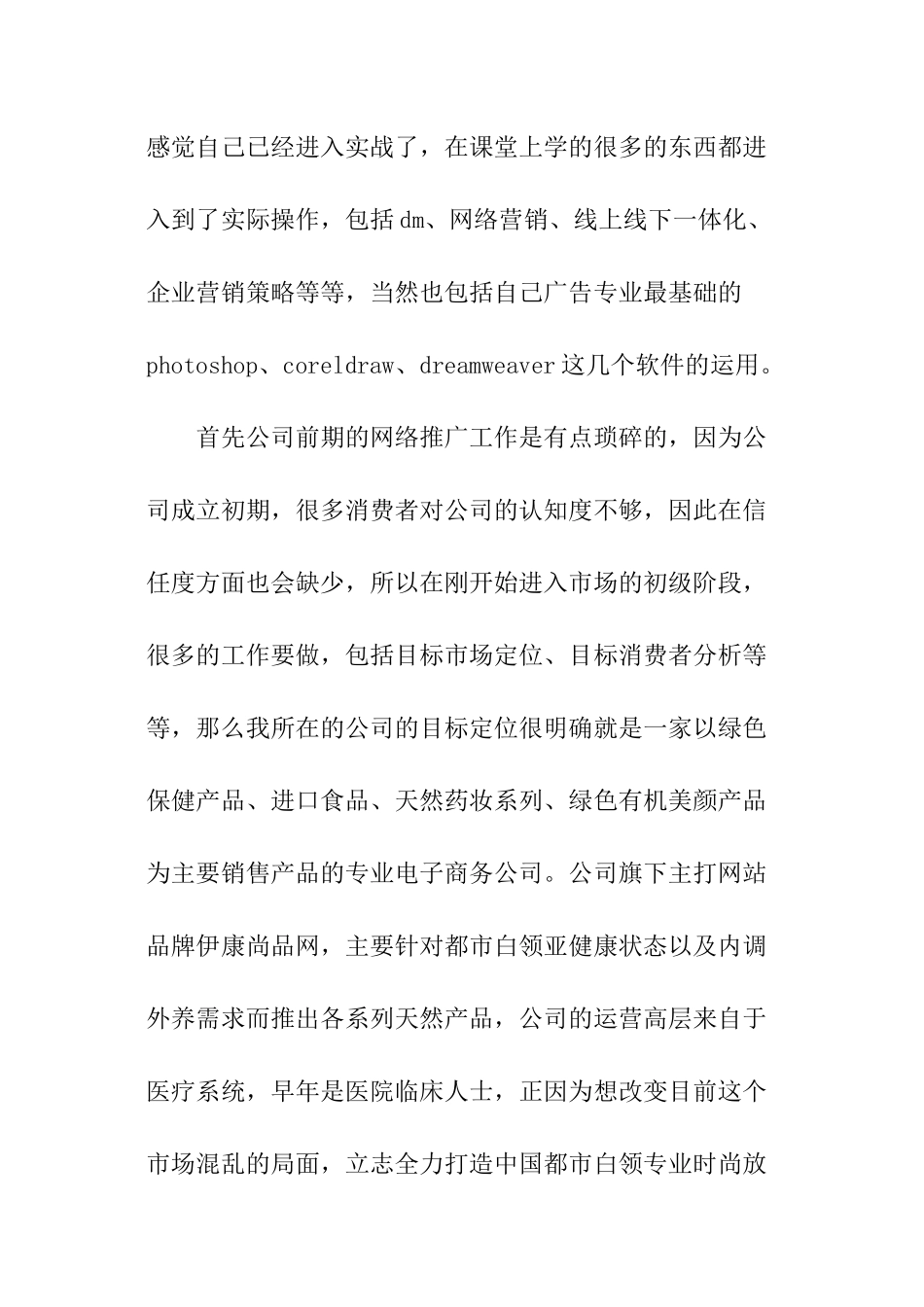 广告策划实践报告_第2页