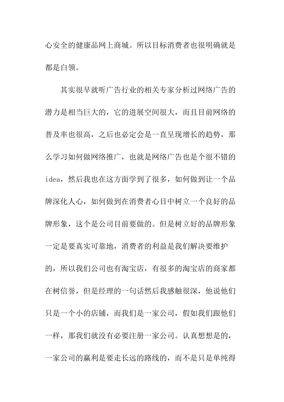 广告策划实践报告_第3页