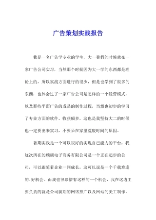 广告策划实践报告