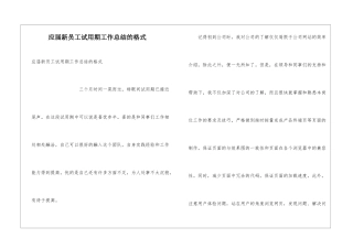 应届新员工试用期工作总结的格式
