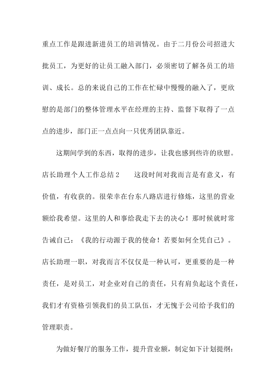店长助理个人工作总结_第3页