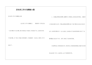 店长的工作计划模板6篇