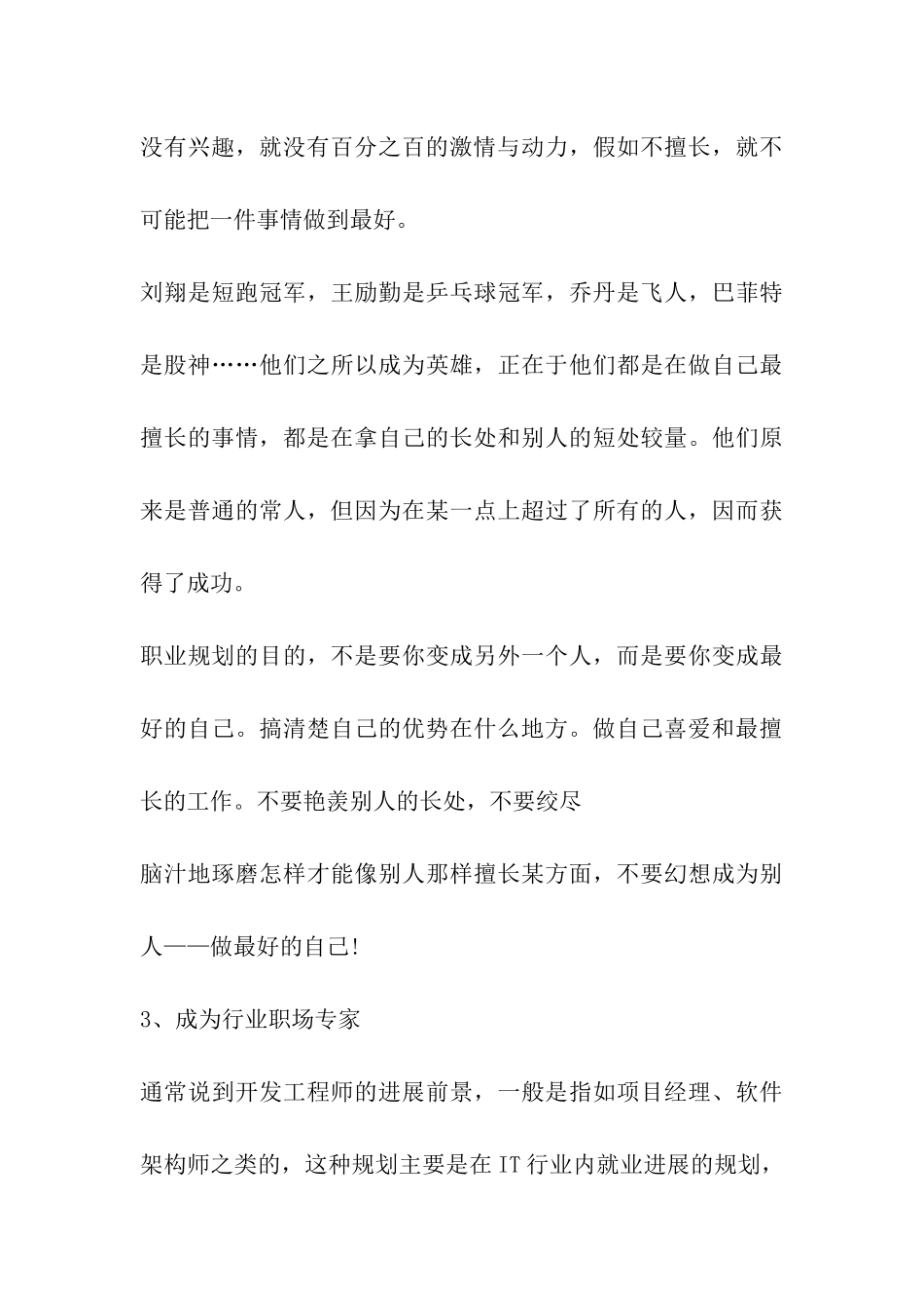 开发工程师职业规划_第3页