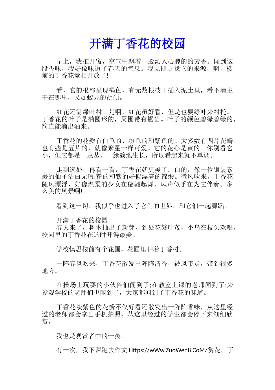 开满丁香花的校园_第1页