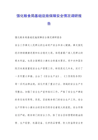 强化粮食局基础设施保障安全情况调研报告-