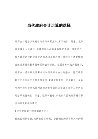 当代政府会计运算的选择