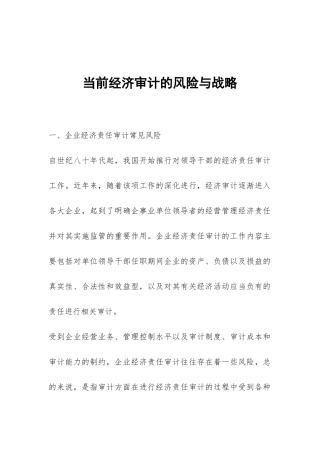 当前经济审计的风险与战略