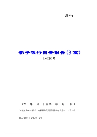 影子银行自查报告-