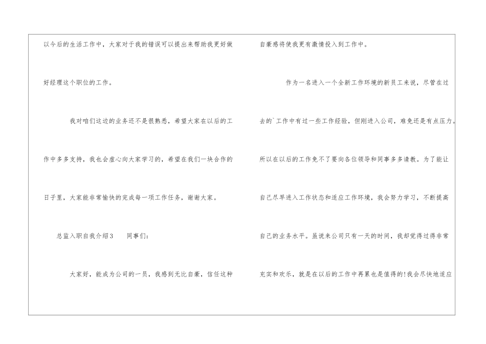 总监入职自我介绍_第3页