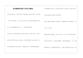 总有柳暗花明时小学作文精选