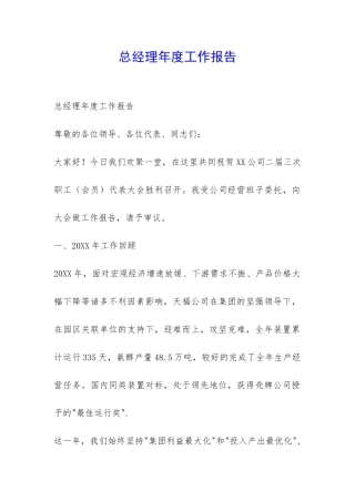 总经理年度工作报告-