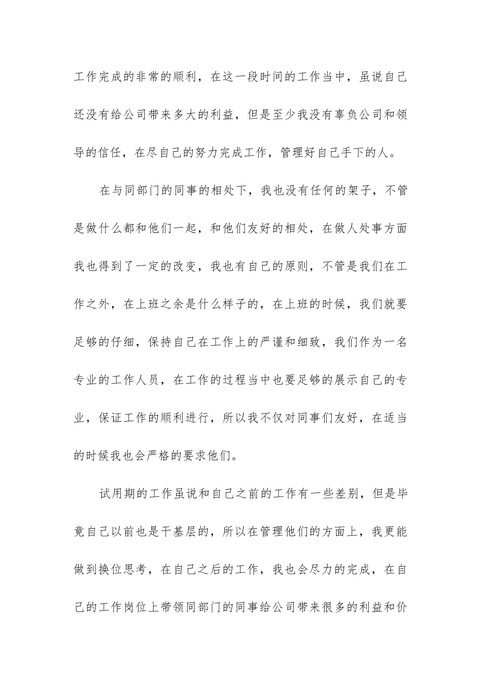 总经理试用期工作总结_第2页