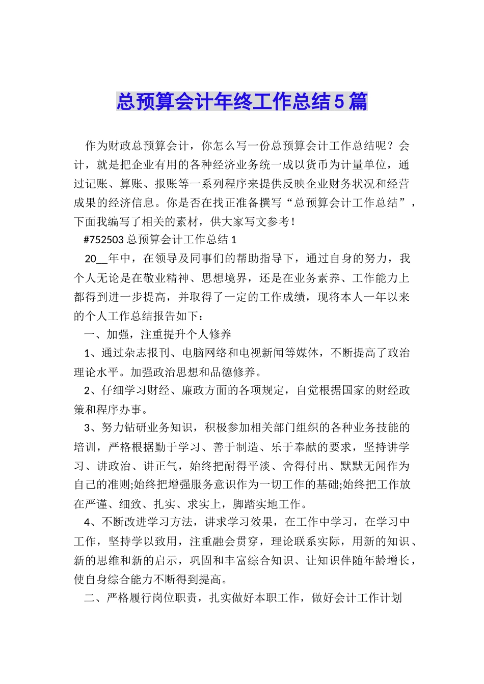 总预算会计年终工作总结5篇_第1页