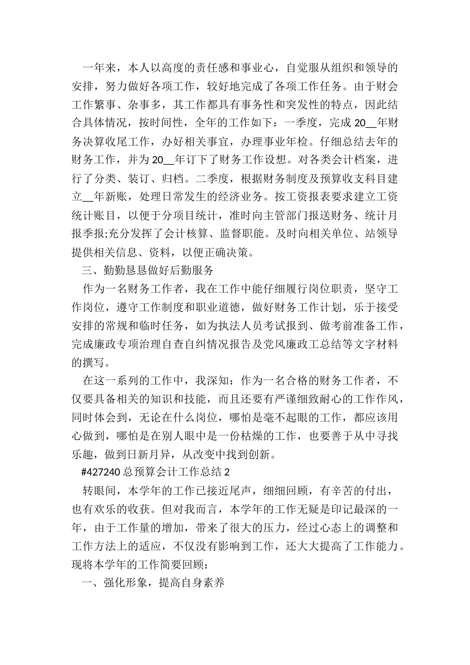 总预算会计年终工作总结5篇_第2页