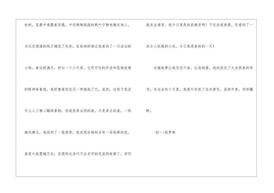 意外收获美景作文600字写景初中初一作文_第2页
