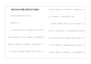 感动生命作文两篇-感受生活中的感动
