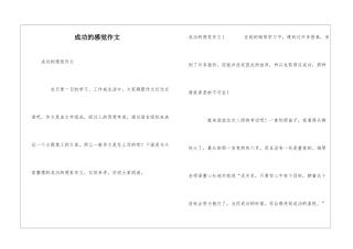 成功的感觉作文