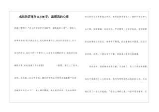 成长的烦恼作文500字：温暖我的心扉