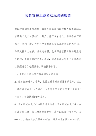 我县农民工返乡状况调研报告-