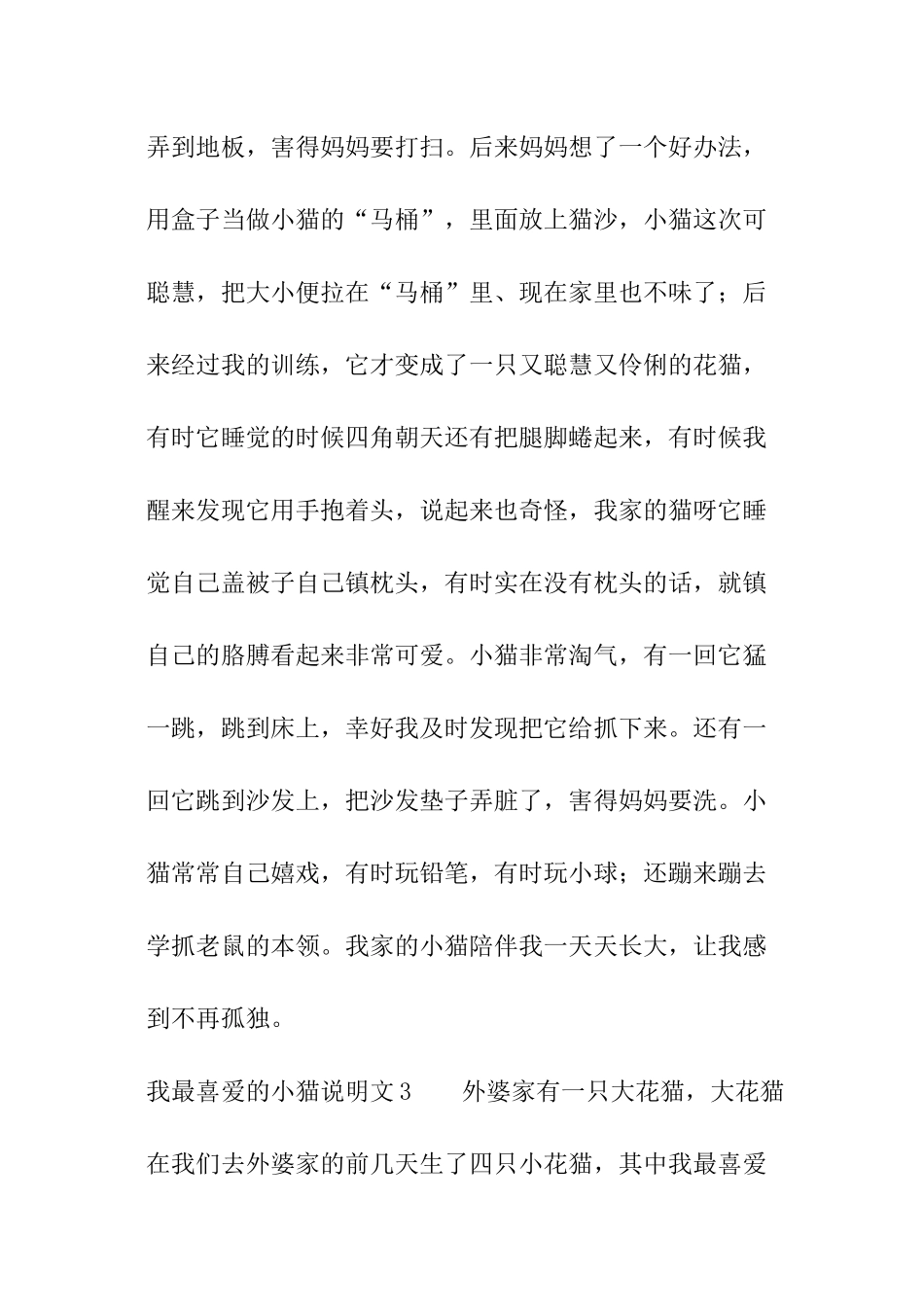 我最喜欢的小猫说明文_第3页