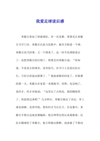 我爱足球读后感