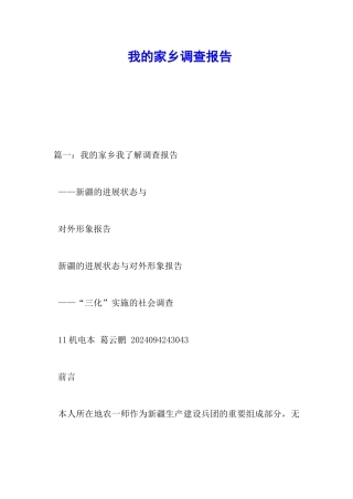 我的家乡调查报告