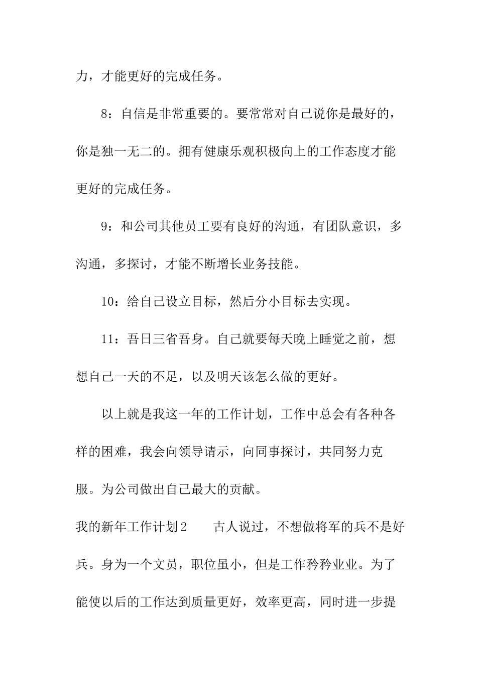 我的新年工作计划_第3页