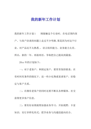 我的新年工作计划