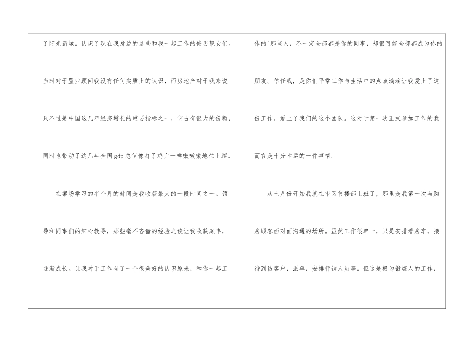 房地产置业顾问年度总结_第2页