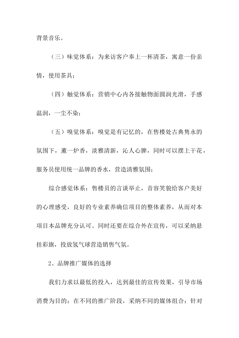 房地产营销方案_第2页