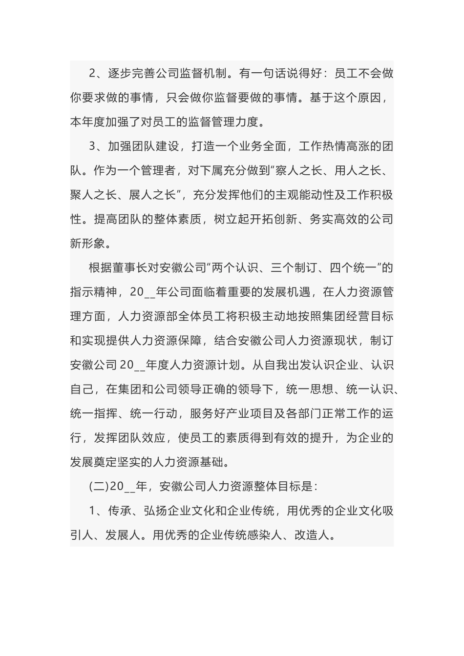 某公司人力资源工作计划-1_第2页