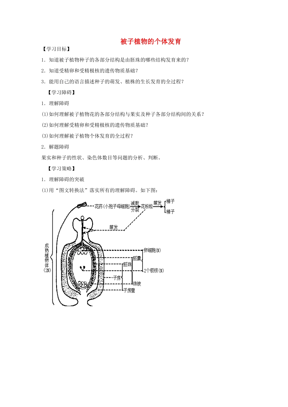 2012届高三生物二轮复习 被子植物的个体发育教案1 人教版_第1页