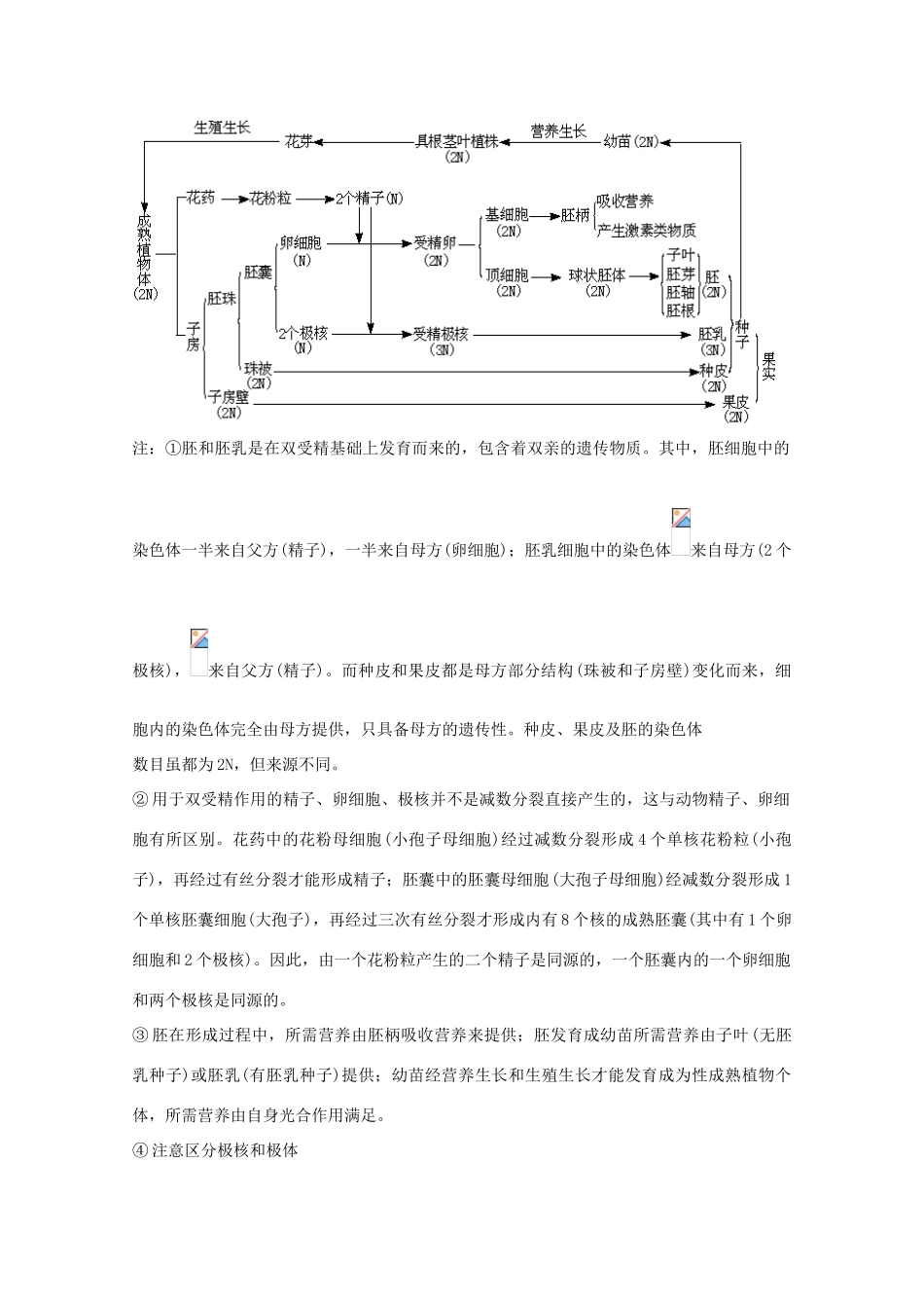 2012届高三生物二轮复习 被子植物的个体发育教案1 人教版_第2页
