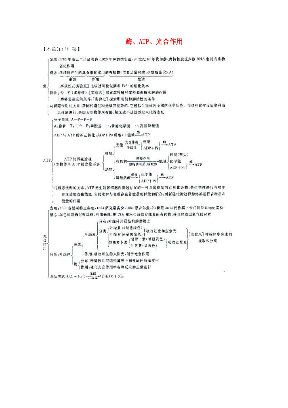 2012届高三生物二轮复习 酶、ATP、光合作用教案 人教版_第1页