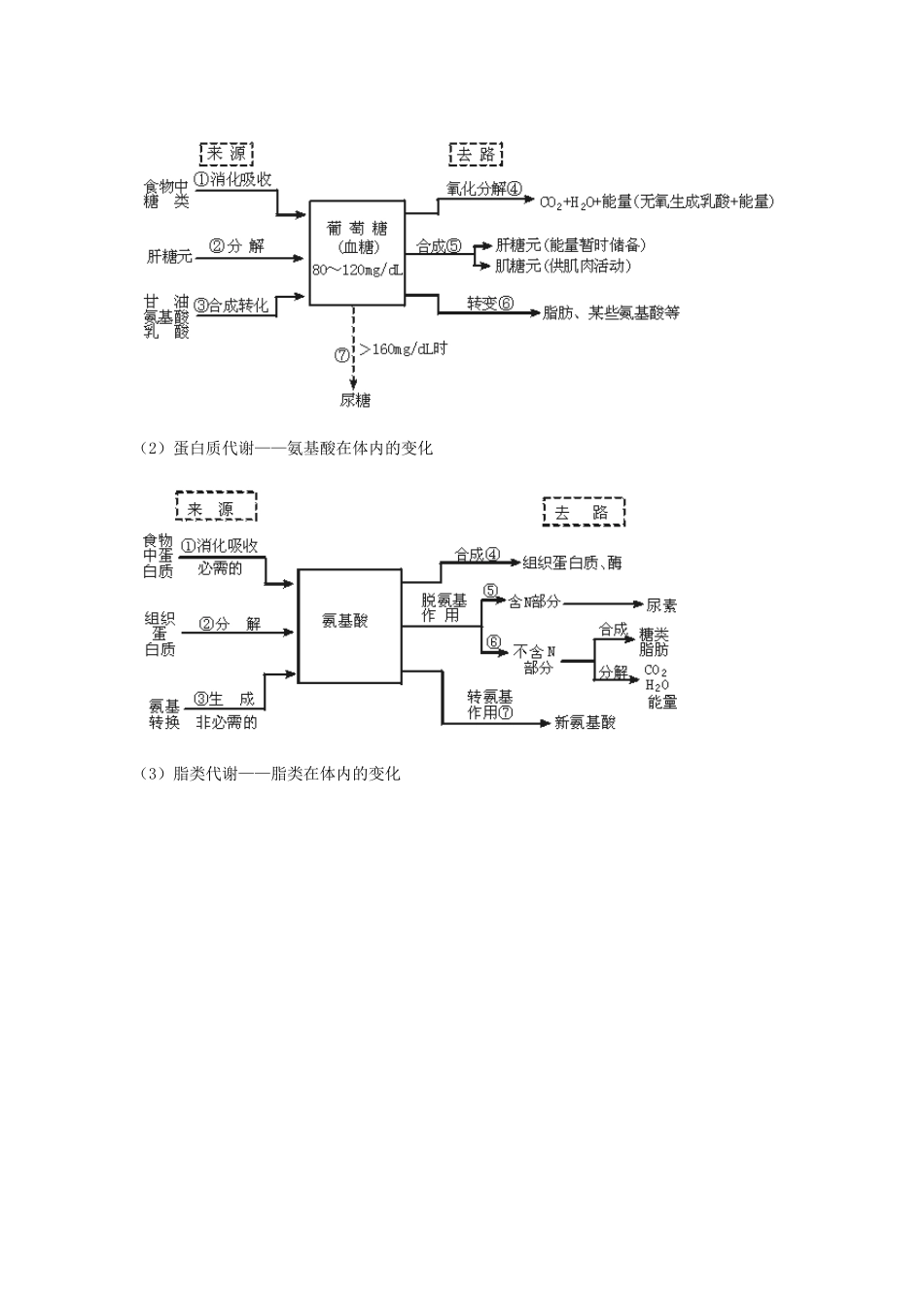 2012届高三生物二轮复习 人和动物的代谢教案 人教版_第2页