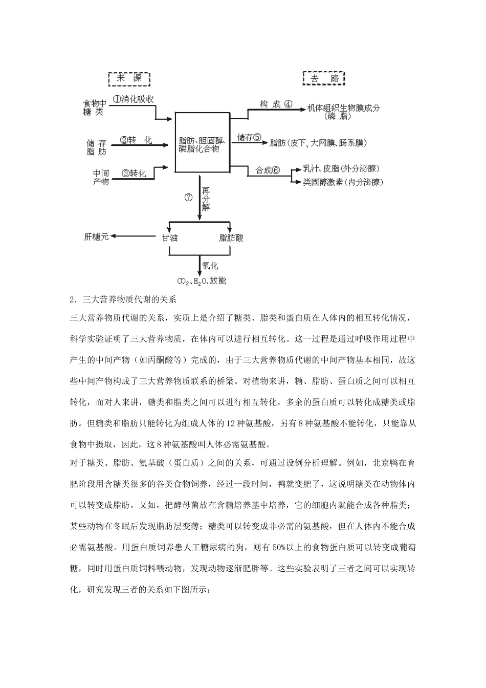 2012届高三生物二轮复习 人和动物的代谢教案 人教版_第3页