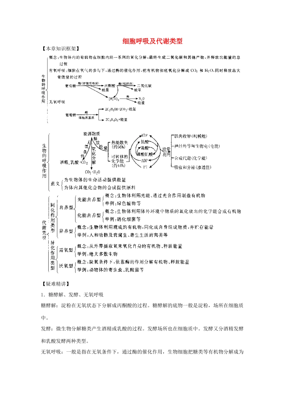 2012届高三生物二轮复习 细胞呼吸及代谢类型教案 人教版_第1页