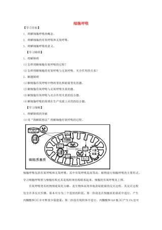 2012届高三生物二轮复习 细胞呼吸教案2 人教版