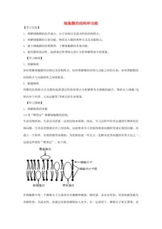 2012届高三生物二轮复习 细胞膜的结构和功能教案 人教版