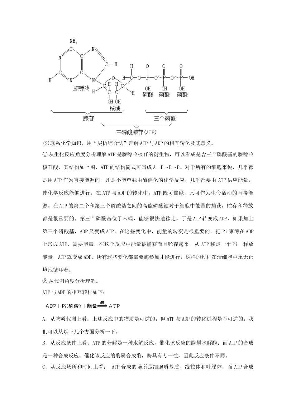 2012届高三生物二轮复习 新陈代谢与ATP1教案 人教版_第2页