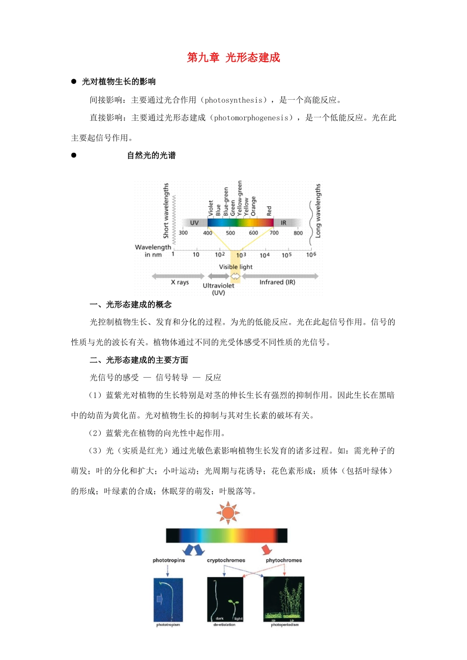 2012年春高中生物 第九章 光形态建成竞赛教案_第1页