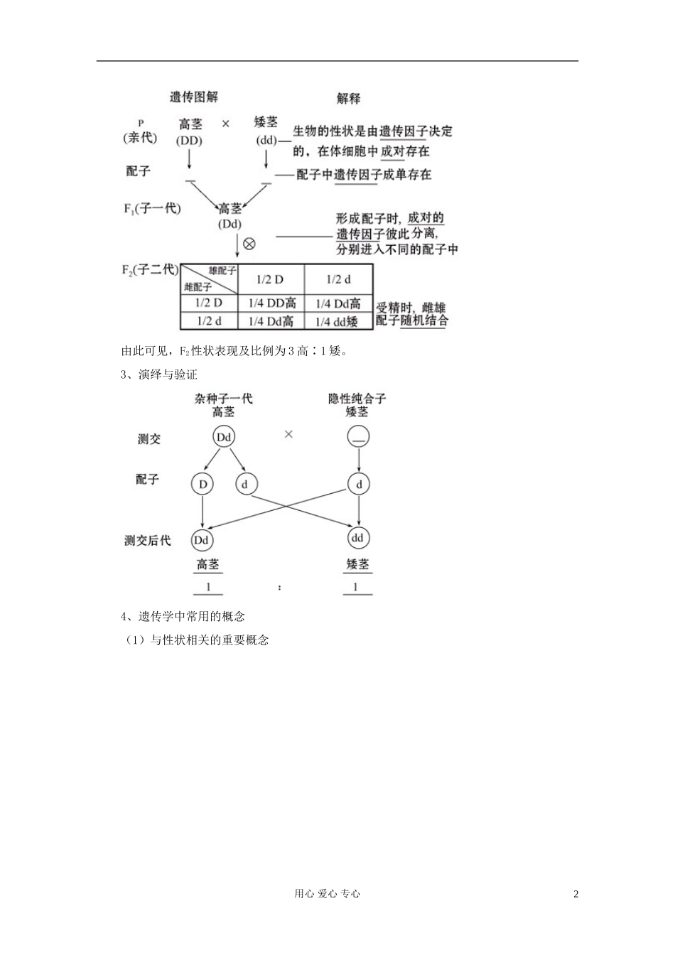 2012届高三生物一轮复习 1.1 孟德尔的豌豆杂交实验精品学案（一） 新人教版必修2_第2页