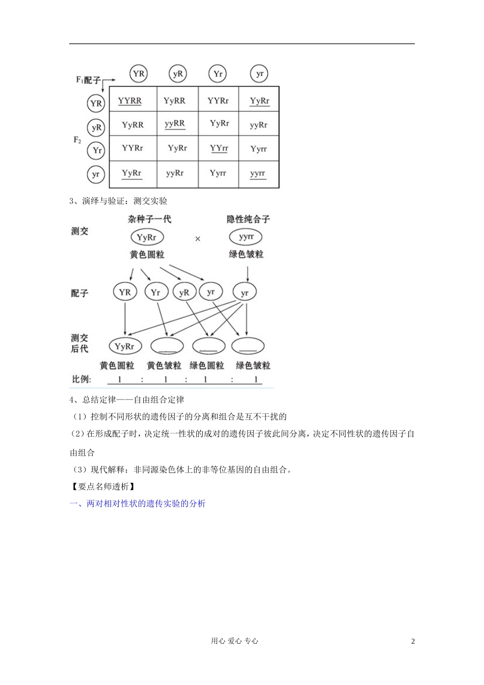 2012届高三生物一轮复习 1.2 孟德尔的豌豆杂交实验精品学案（二） 新人教版必修2_第2页