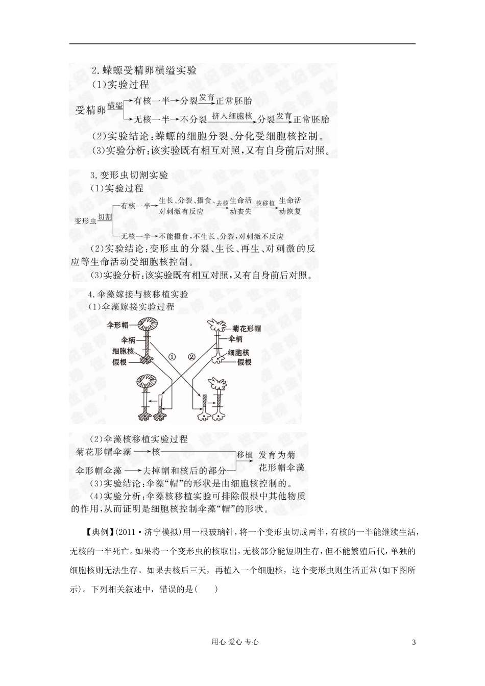 2012届高三生物一轮复习 3.3 细胞核——系统的控制中心精品学案 新人教版必修1_第3页