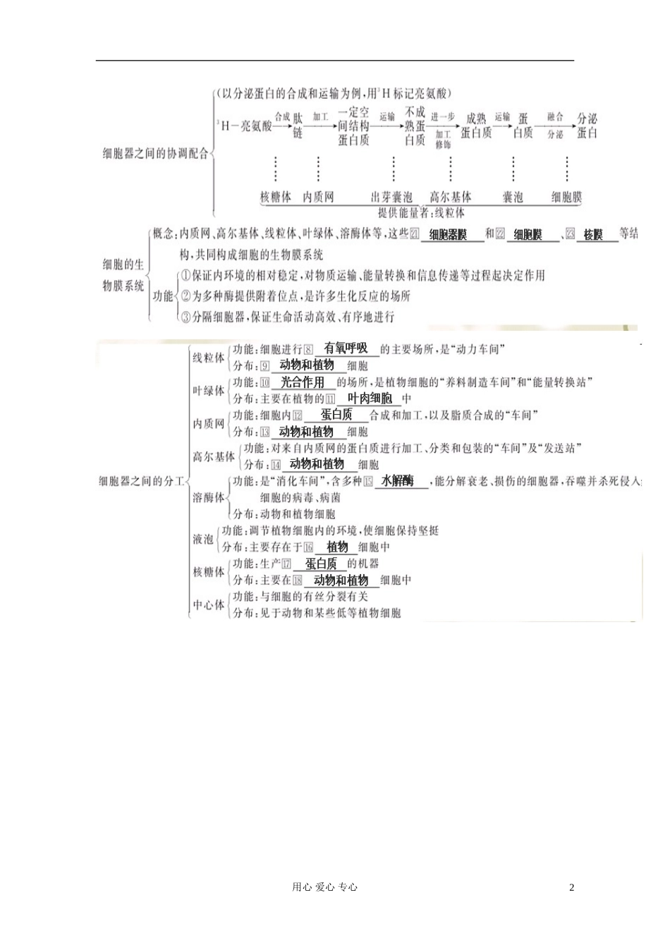 2012届高三生物一轮复习 第3章 细胞的基本结构（单元复习）精品学案 新人教版必修1_第2页