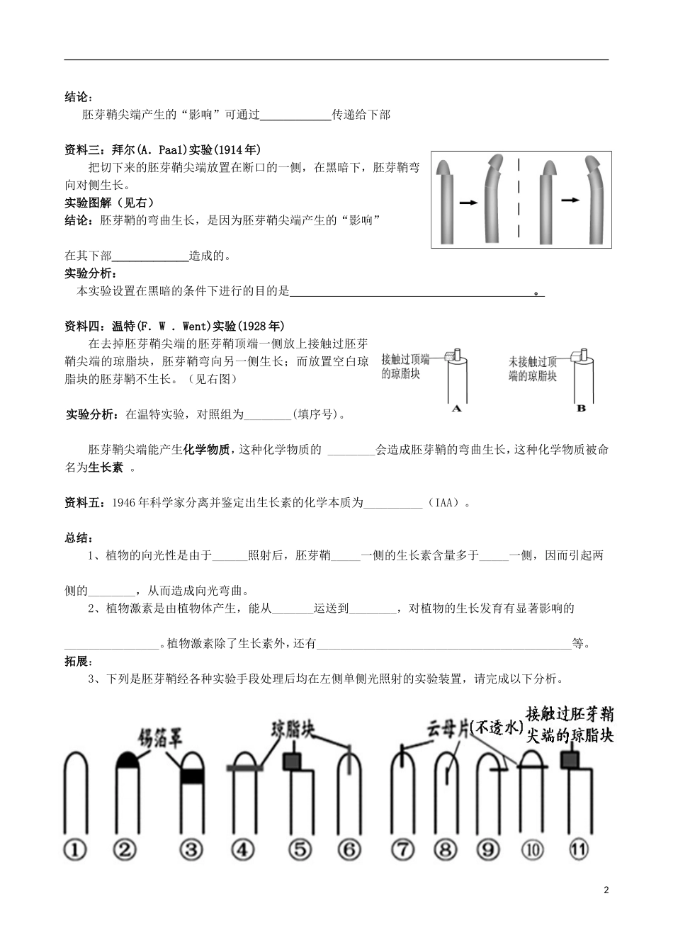 2012-2013学年广东省广州市高中生物 生长素发现学案 新人教版_第2页