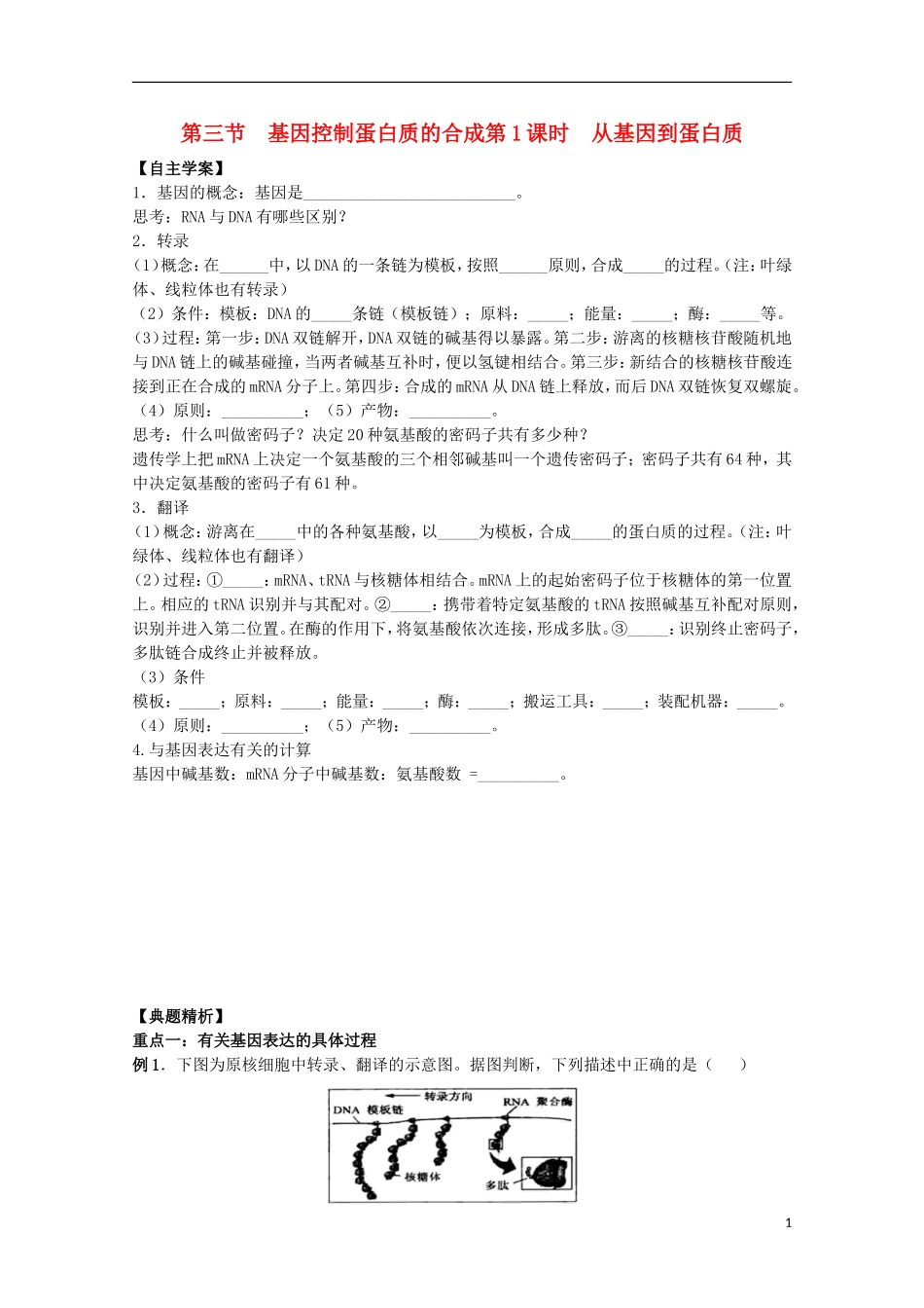2012年高中生物 4.3《从基因到蛋白质》1自学学案 苏教版必修2_第1页