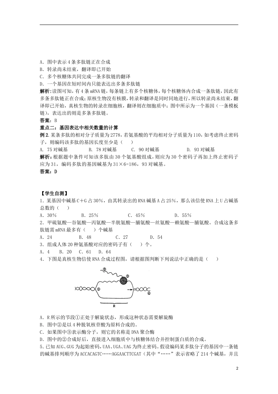 2012年高中生物 4.3《从基因到蛋白质》1自学学案 苏教版必修2_第2页