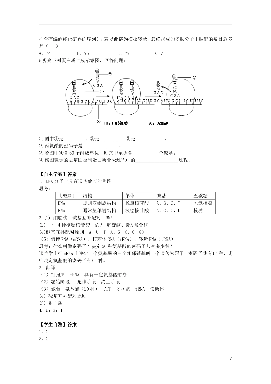 2012年高中生物 4.3《从基因到蛋白质》1自学学案 苏教版必修2_第3页